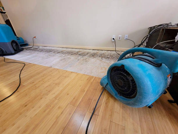 Professional Structural Drying technician working in Gilmore, AR